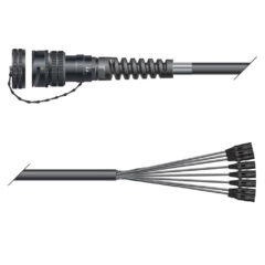 Sommer Cable Auflösung LK37 female - 8 Kanal XLR male