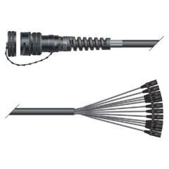 Sommer Cable Auflösung LK37 male - 12 Kanal XLR female